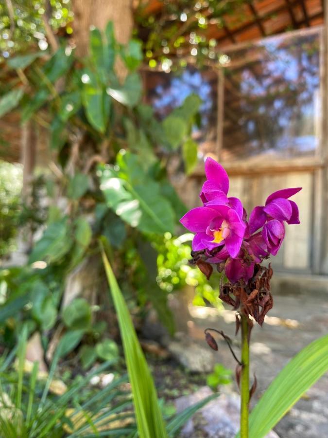 Donana Hostel De Guine Guine de Baixo 外观 照片